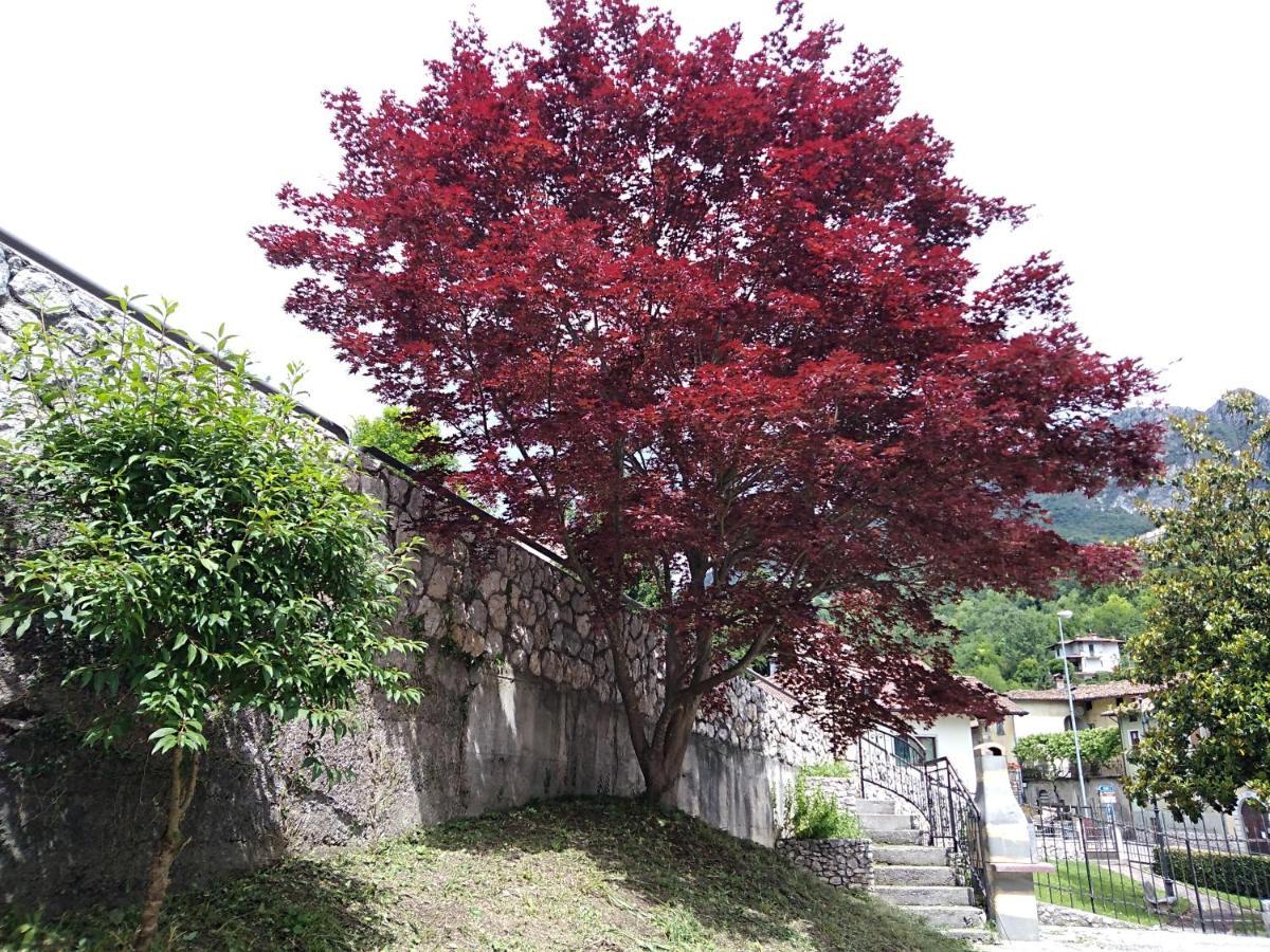 B&B L'Acero Casto Buitenkant foto